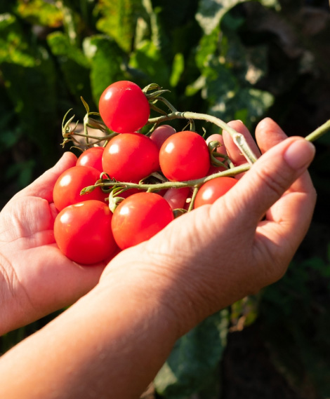 人間力でチャレンジ！